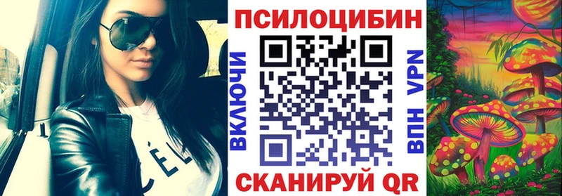 Галлюциногенные грибы Cubensis Зубцов